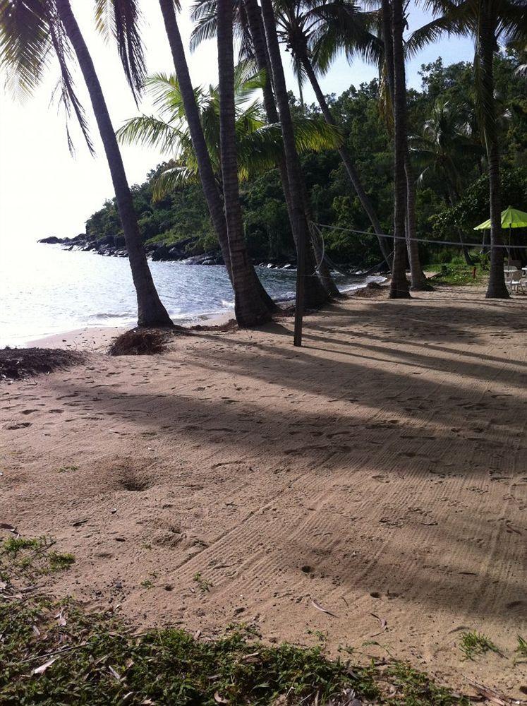 Turtle Cove Beach Resort - Adults Only Lgbtqia & Allies Wangetti Exterior foto