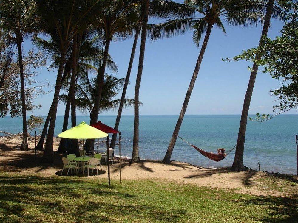 Turtle Cove Beach Resort - Adults Only Lgbtqia & Allies Wangetti Exterior foto