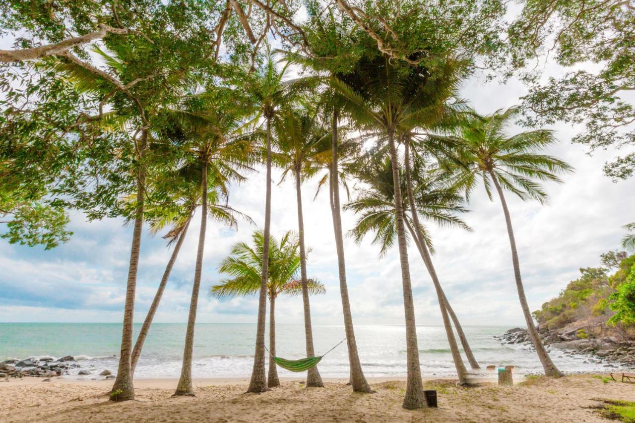 Turtle Cove Beach Resort - Adults Only Lgbtqia & Allies Wangetti Exterior foto